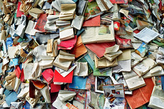 Alicia Martin: Biografias - Cascade of books, Photo aus Linz, Flickr, CC-BY-SA