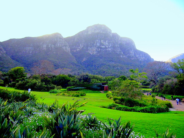 South Africa. Cape Peninsula, Kirstenbosch National Botanical Garden