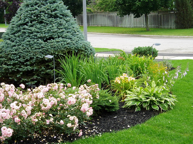 Curb Appeal Landscaping Ideas