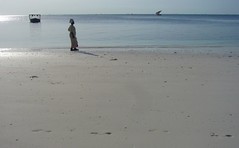-Day 11 Nungwi - Beach scenes