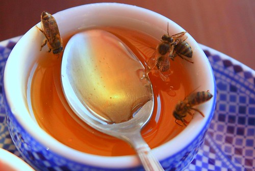 african bees like honey
