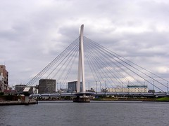 Sumida River & tribunaries