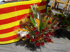 Sant Jordi Vilanova Geltru 2010 038