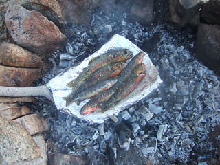 Cooking seasoned fish