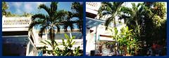 Key West trip 2000, Edgar's photos