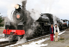 Rail - Steam