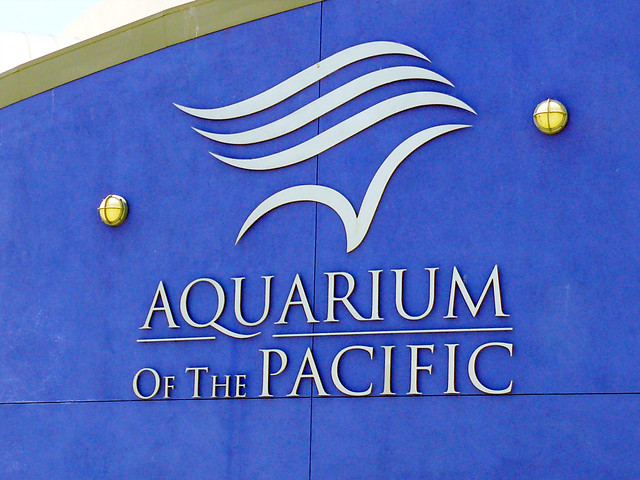 Download this Long Beach Aquarium picture