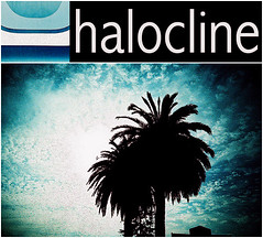halocline.