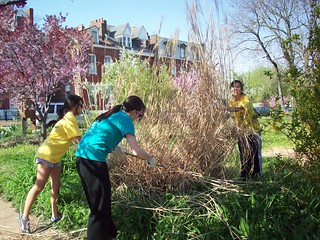 community volunteers tend a garden in Old North St Louis (courtesy of Old North St Louis Restoration Group)