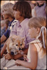 Youngster Unknowingly Shares an Ice Cream Stick with a Dog as She Watches Judging During the Kiddies Parade in Johnson Park in New Ulm, Minnesota...