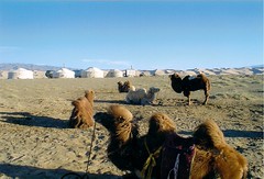 Mongolia Land Of The Blue Sky .