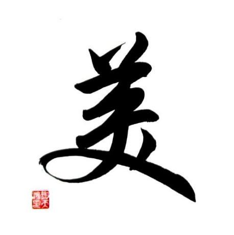Chinese Symbol for Beauty Calligraphy Painting