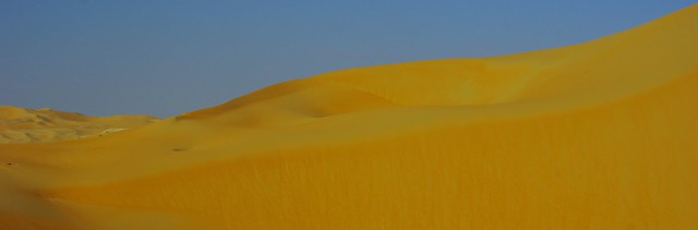 Liwa desert dunes