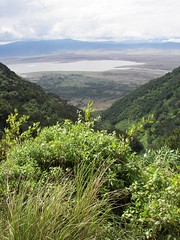 -Day 08 Ngorongoro - Landscape