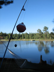 Hidden Meadow Ranch Fishing Pole