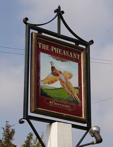 Pheasant sign