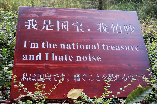 I hate noise