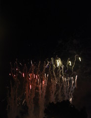 2010.08.23; Magic Kingdom Fireworks