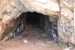 Unearthed Tunnel