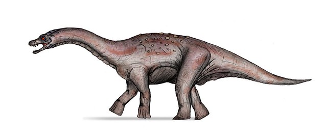 Aeolosaurus sp