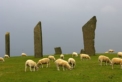 Orkney Island, Scotland