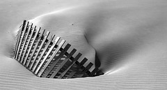 Dunes of Bolonia (b&w) / Boloniako dunak