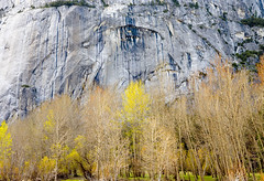 Framed Photos, Yosemite