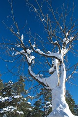 colmiane hiver 2008