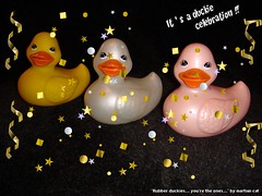 Rubber Duckies in Japan