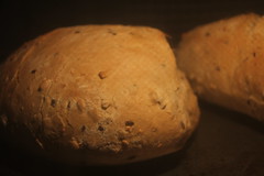 Wild yeast sourdough bread