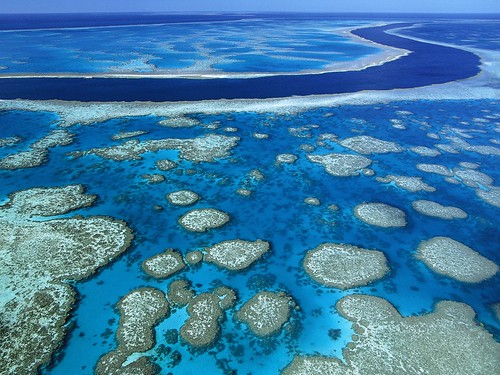 Great Barrier Reef Marine Park, Queensland, Australia