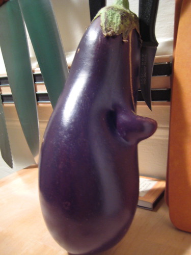 The Friendly Eggplant