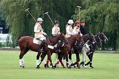 The Amazons Polo Team