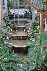 Washington DC Botanic Gardens