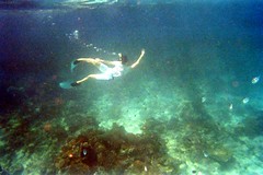 -Day 10 Zanzibar - Snorkeling