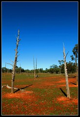 outback australia