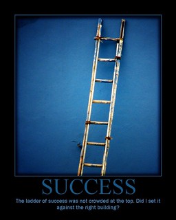 A mock motivational picture showing a ladded against a wall and the word 'success'.