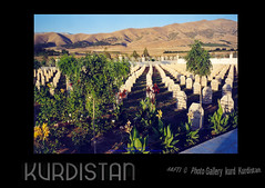 kurd PhotoJournalism