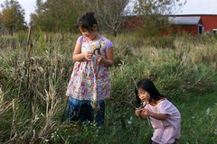 Girls Opening Milkweed