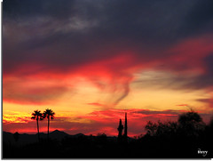 Fotos from Tucson October/November/December 2010