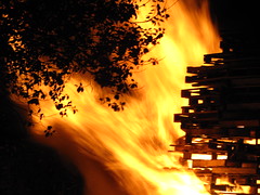 Bonfire night 2010