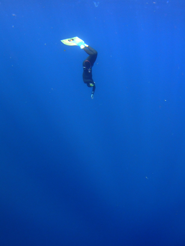 Vídeos freediving