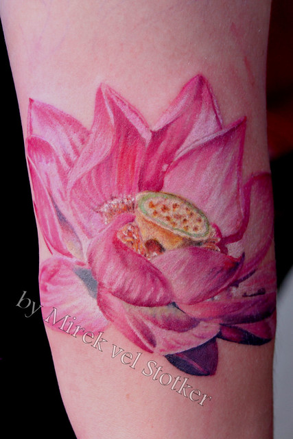 lotus flower tattoo by Mirek