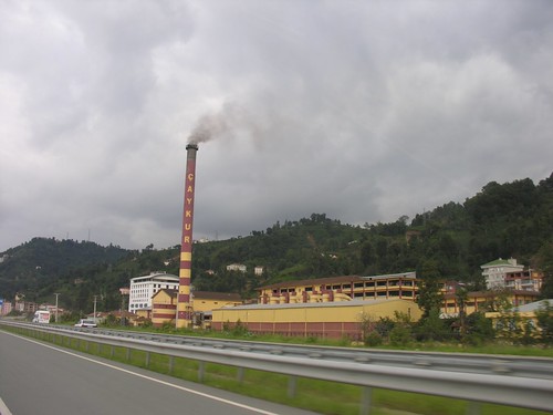 Tea fermentáló gyár