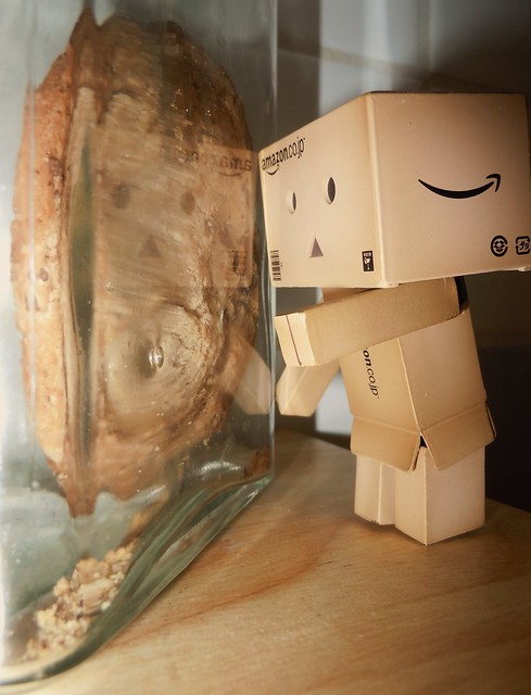 Danbo Dude added this photo to their favorites