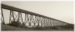Trains and Trestles....