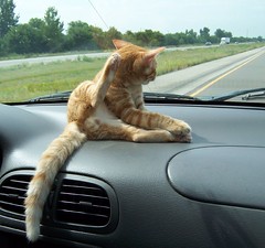 Garfield Takes A Road Trip