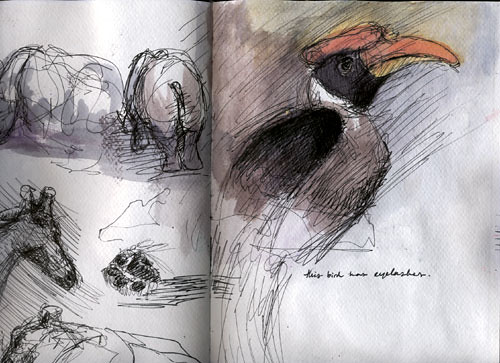 Sketchbook: Rhinos, Giraffe, Bird