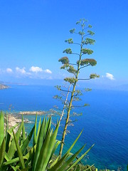 Corsica (France) 2007
