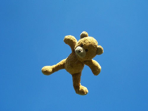 Teddy Flying